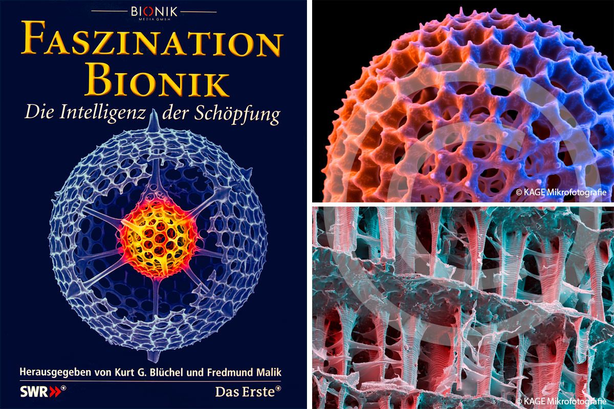 Buchcover "Faszination Bionik"